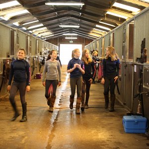 Chiddingfold Farmers Pony Club Gallery